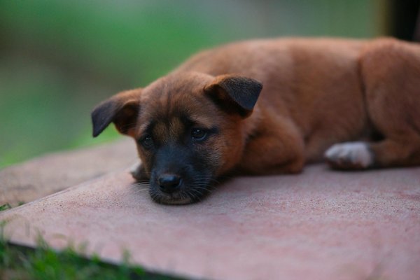 Experience tranquil sleep: how cutting-edge smart beds boost sleep quality and health monitoring